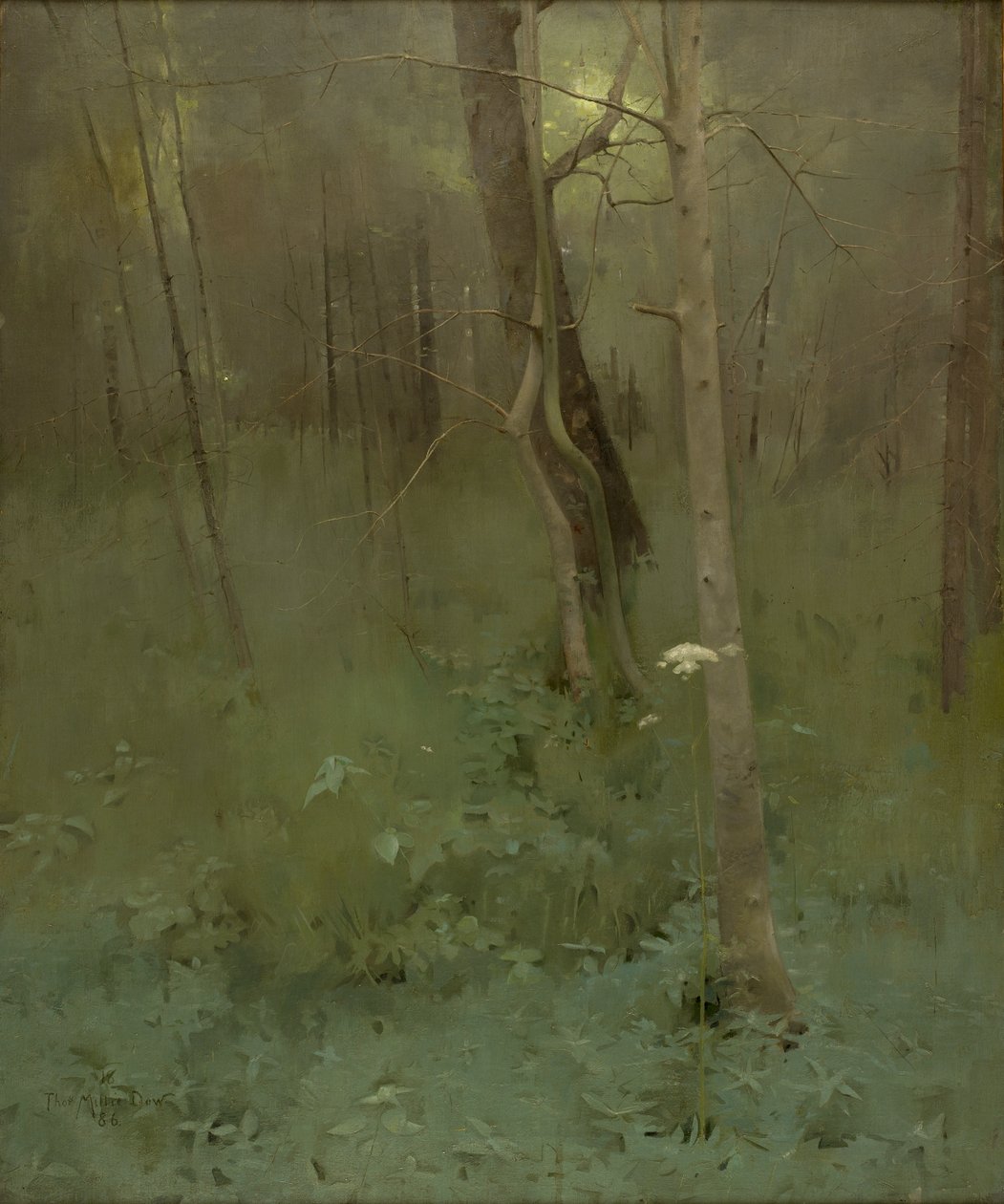 Arbres, 1886 - Thomas Millie Dow