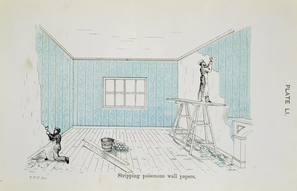 Décapage des papiers peints toxiques, illustration tirée de Dangers pour la Santé : Un Guide Pictural des Effets Sanitaires Domestiques, publié en 1897 - Thomas Pridgin Teale