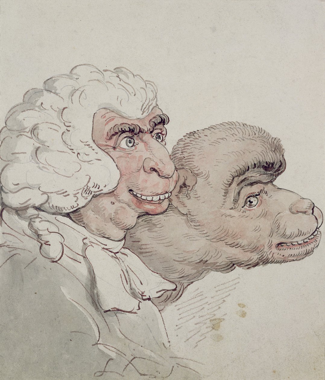 Caricature d