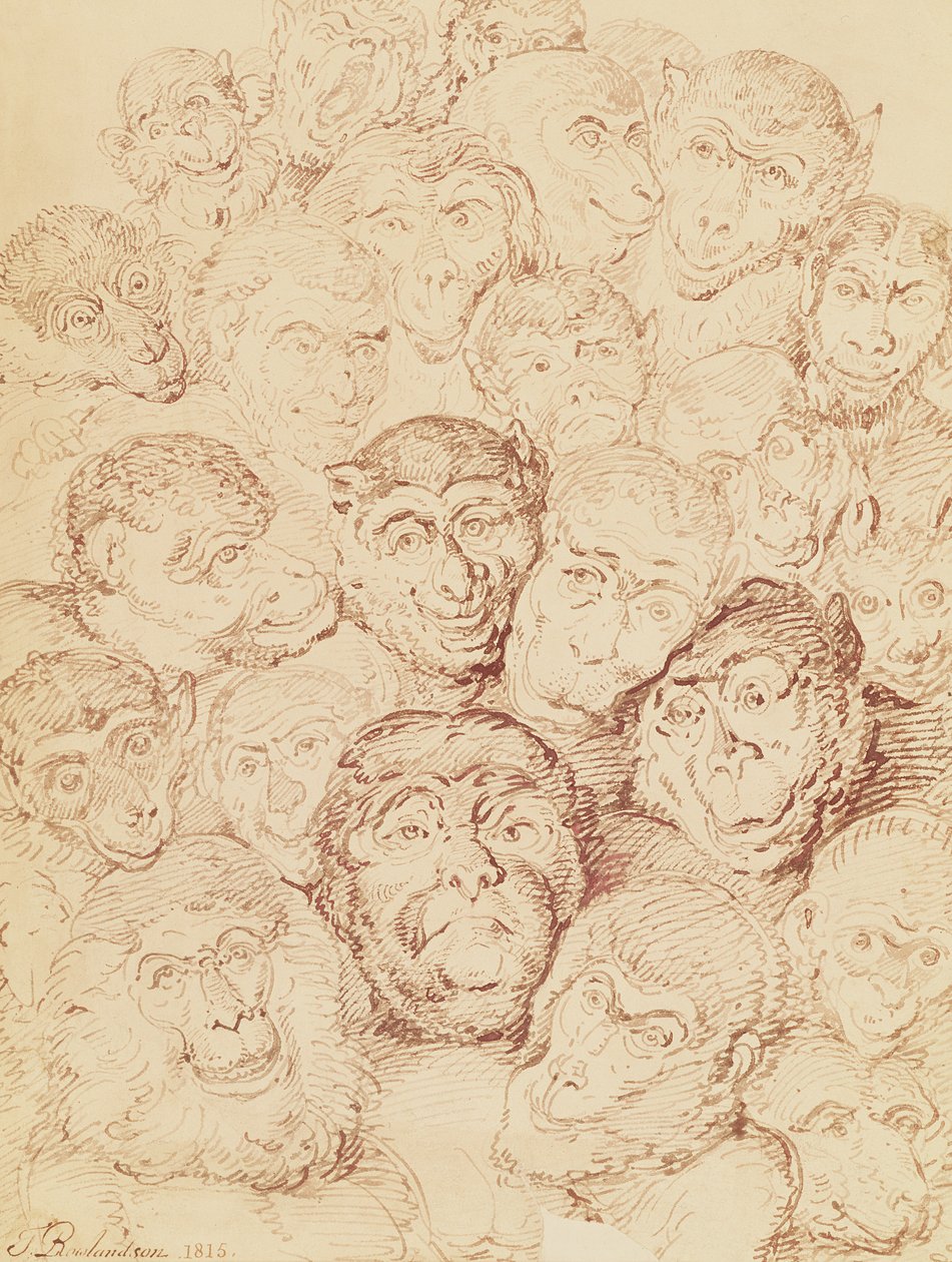 Visages de singe, 1815 - Thomas Rowlandson