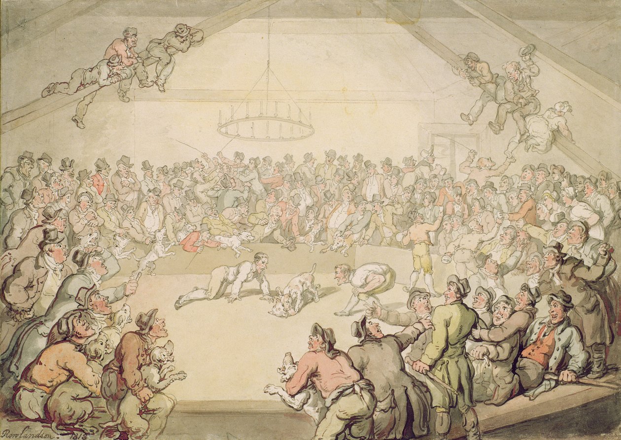 Le combat de chiens - Thomas Rowlandson