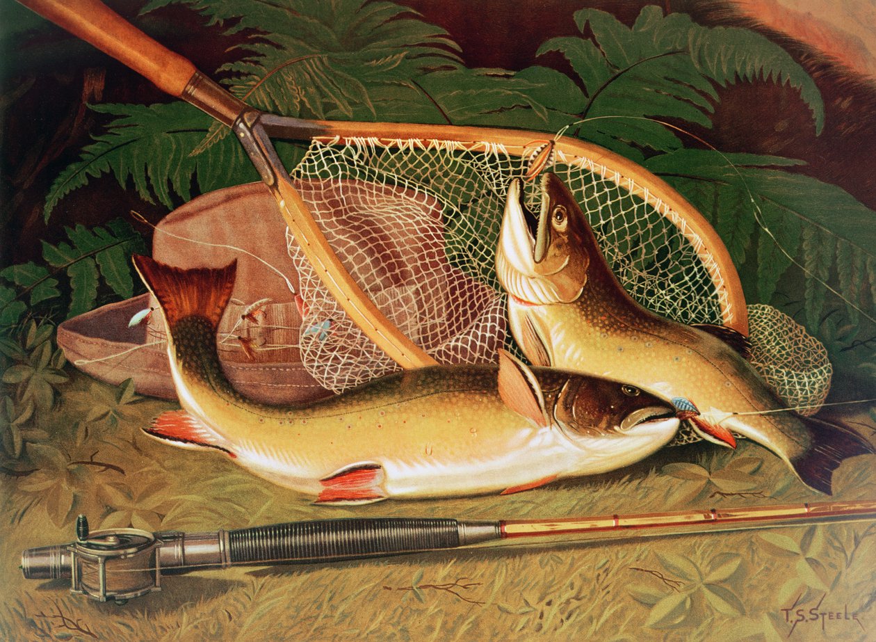 Nature morte avec une truite saumonée, une canne et un filet - Thomas Sedgwick Steele