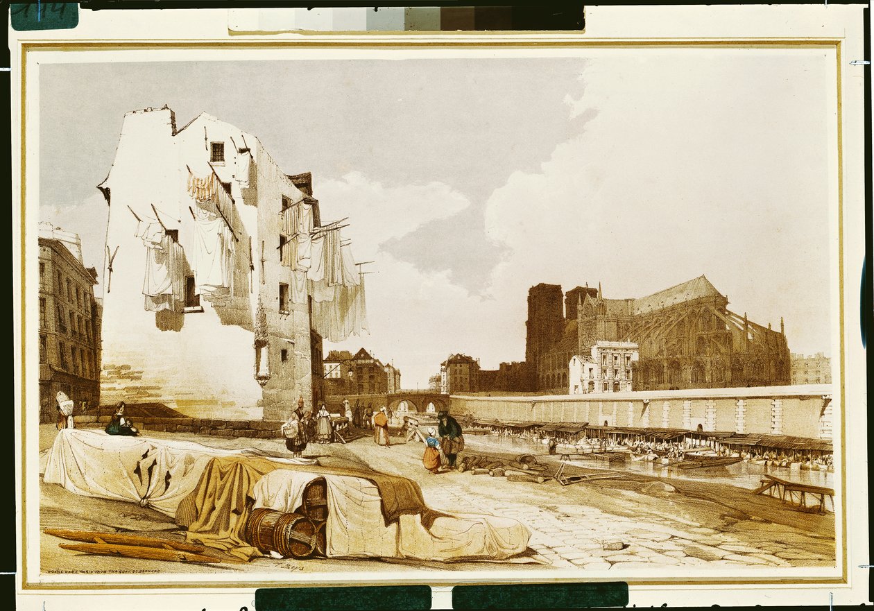 Notre-Dame depuis le Quai St. Bernard - Thomas Shotter Boys