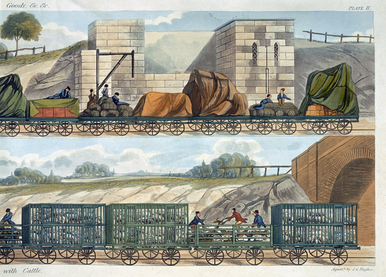 Un train de wagons (haut) et un train de bovins, moutons et porcs (bas) de 
