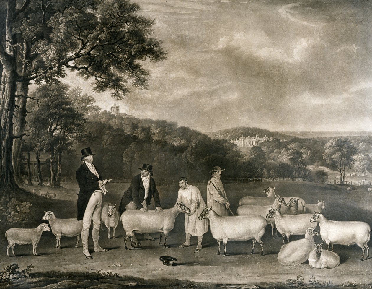 Portrait de Thomas William Coke, Esq. (1752-1842) inspectant quelques-unes de ses moutons South Down avec M. Walton et les bergers de Holkham, gravé par William Ward (1766-1826), 1808 - Thomas Weaver