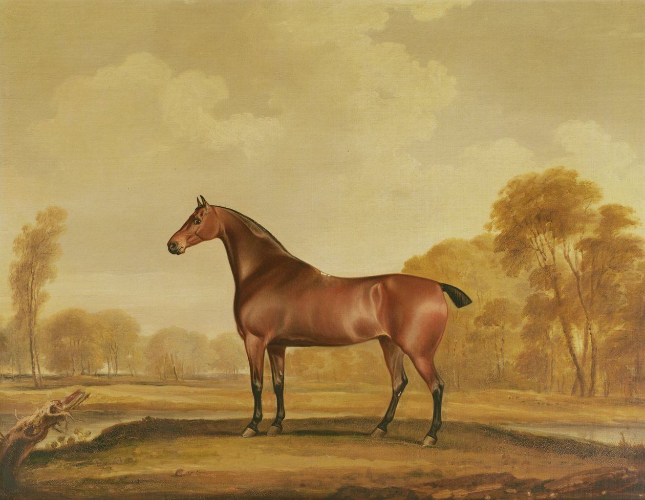 Zillah - Thomas Weaver