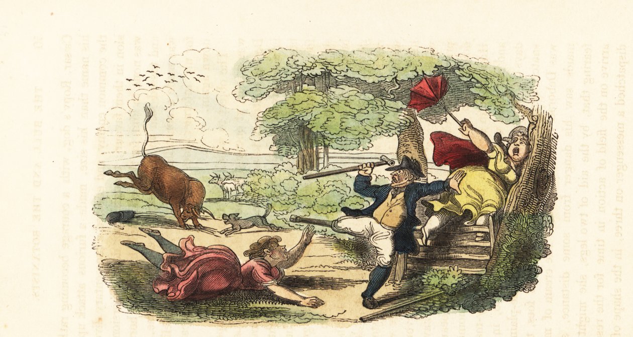 Une famille de botanistes attaquée par un taureau en furie dans un champ, 1831 - Thomas (after) Rowlandson