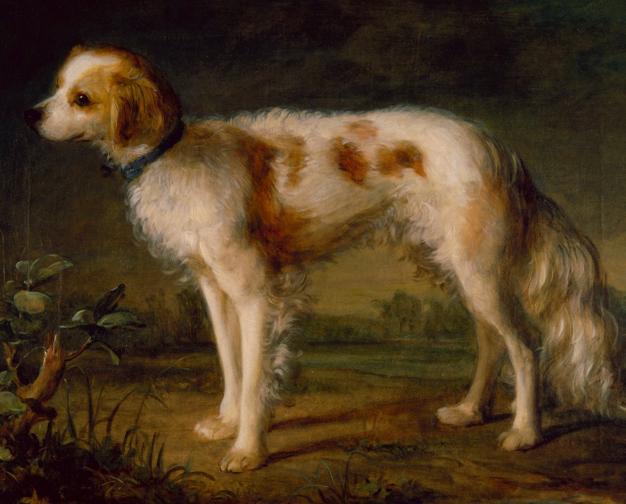 Un épagneul dans un paysage - Thomas (circle of) Gainsborough