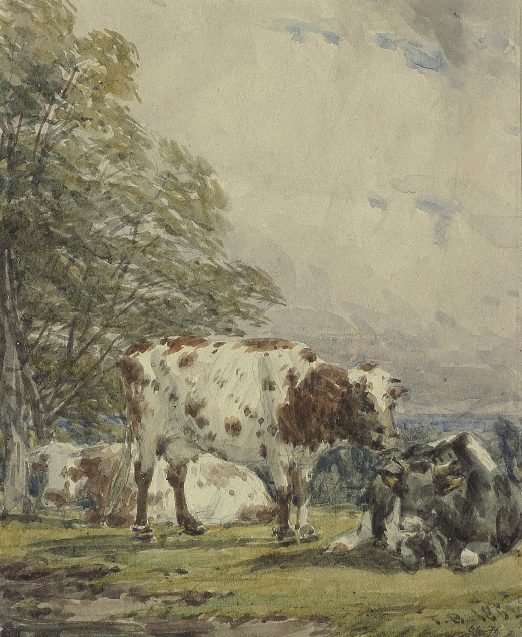Étude de bétail, 19ème siècle - Thomas Baker