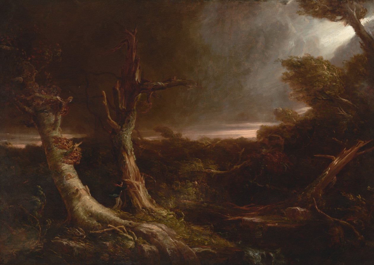 Tornade dans une forêt américaine - Thomas Cole