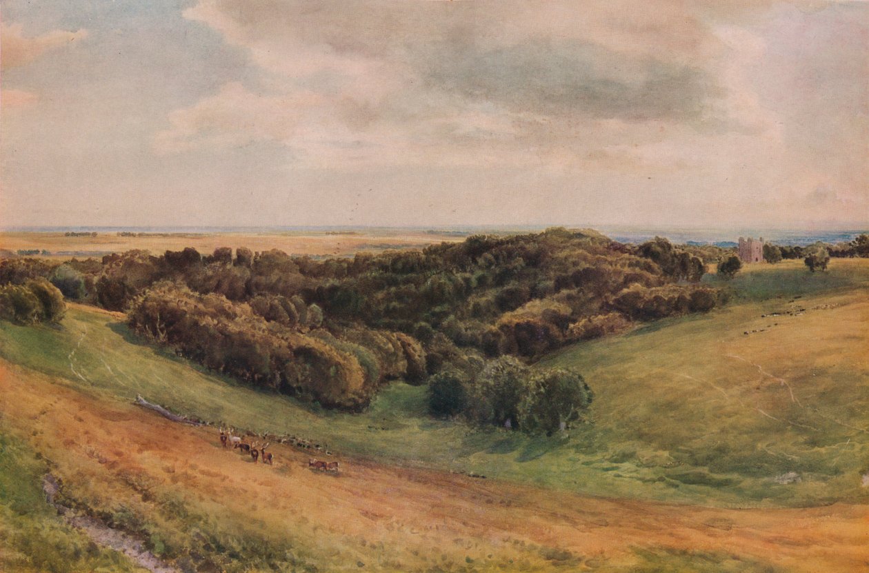 Parc d