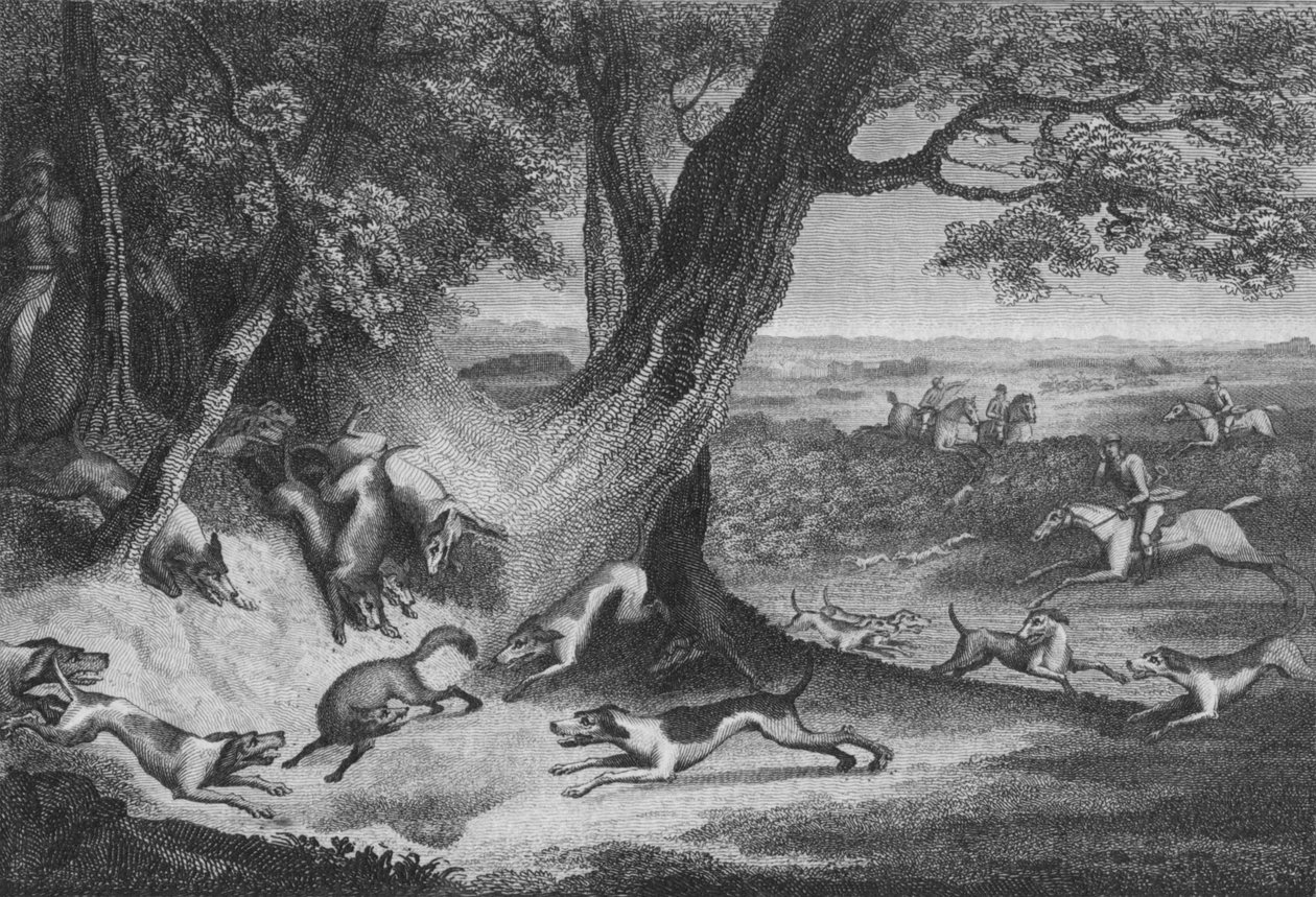 La mort du renard, 1793 - Thomas Cook