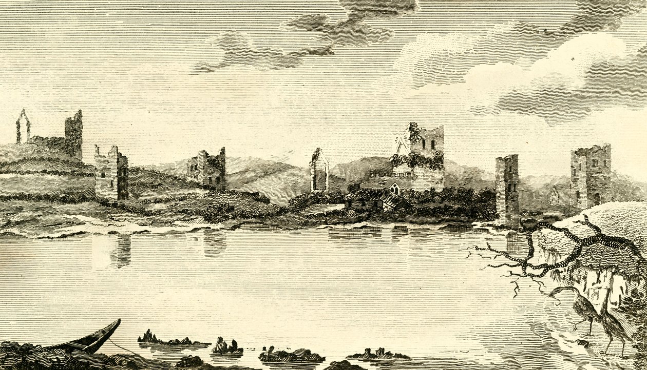 Vue N. des ruines de Clomines, Co. Wexford, 1791 - Thomas Cook