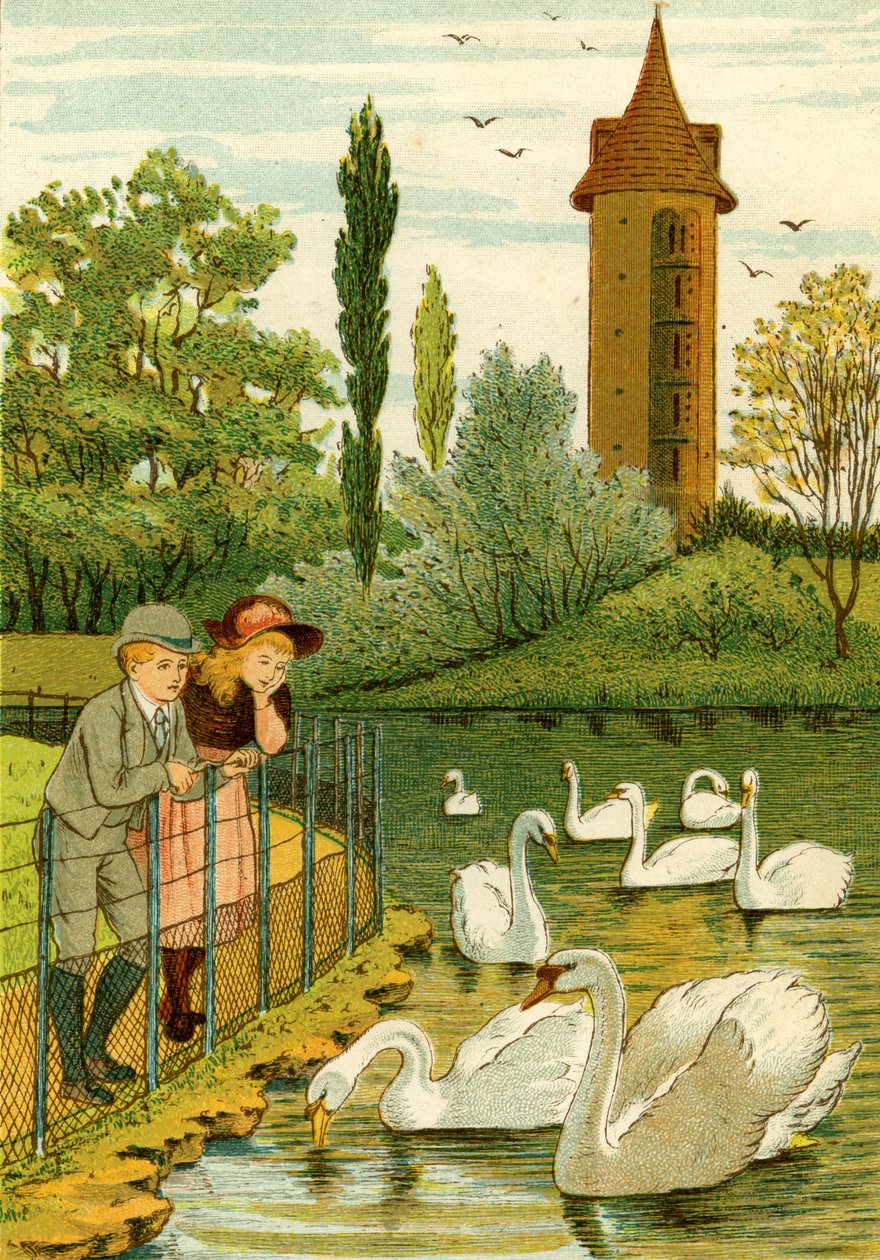 Zoo de Paris - enfants regardant les cygnes - Thomas Crane