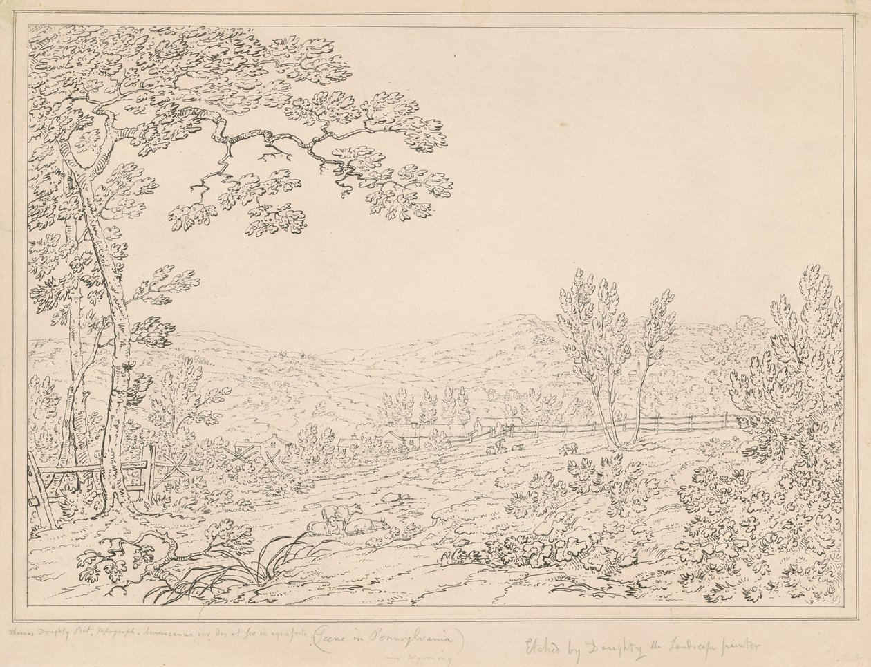 Paysage de Pennsylvanie - Thomas Doughty