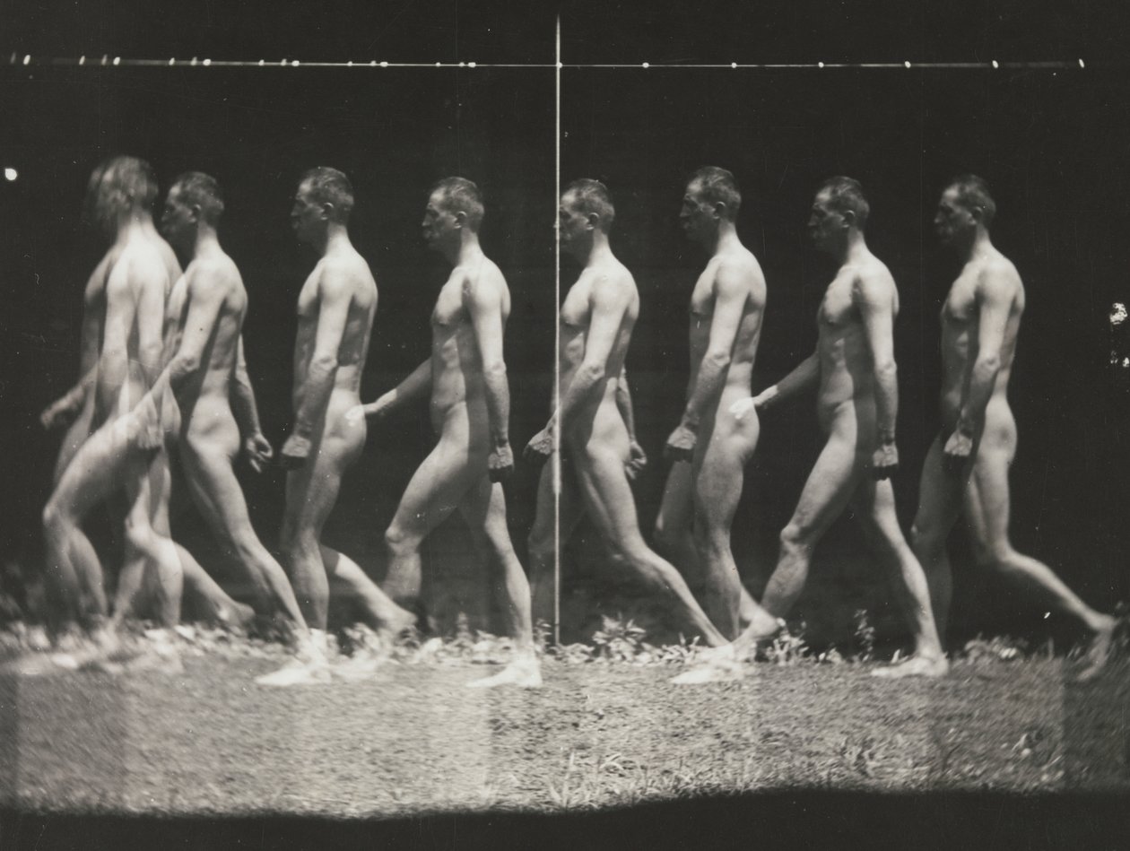 [Homme marchant, photographie stroboscopique], années 1880, imprimé années 1930-40 - Thomas Eakins
