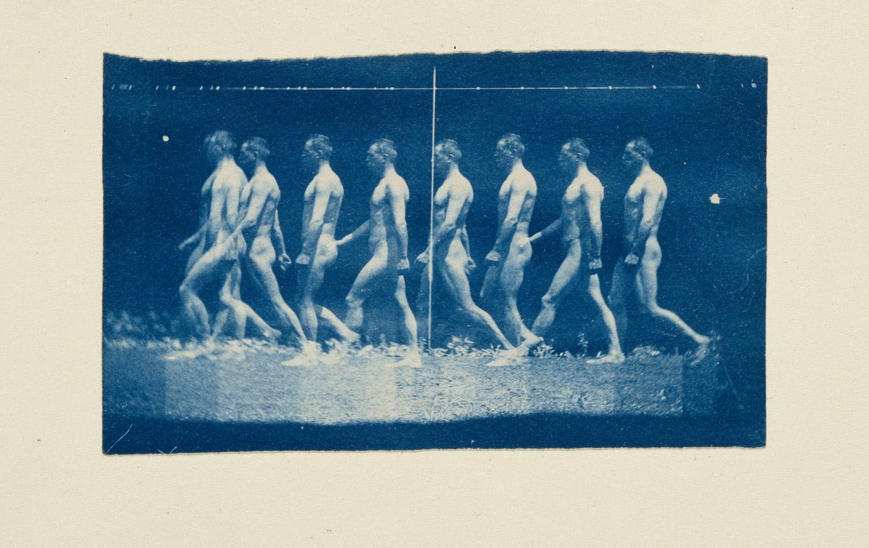Photographies de Jesse Godley prises à l
