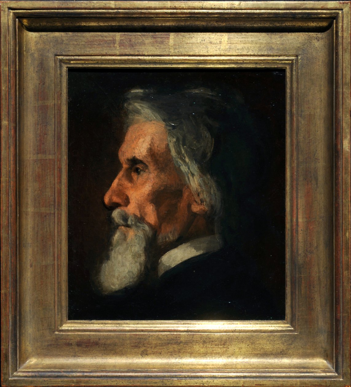 Portrait de William Mac Dowell - Thomas Eakins
