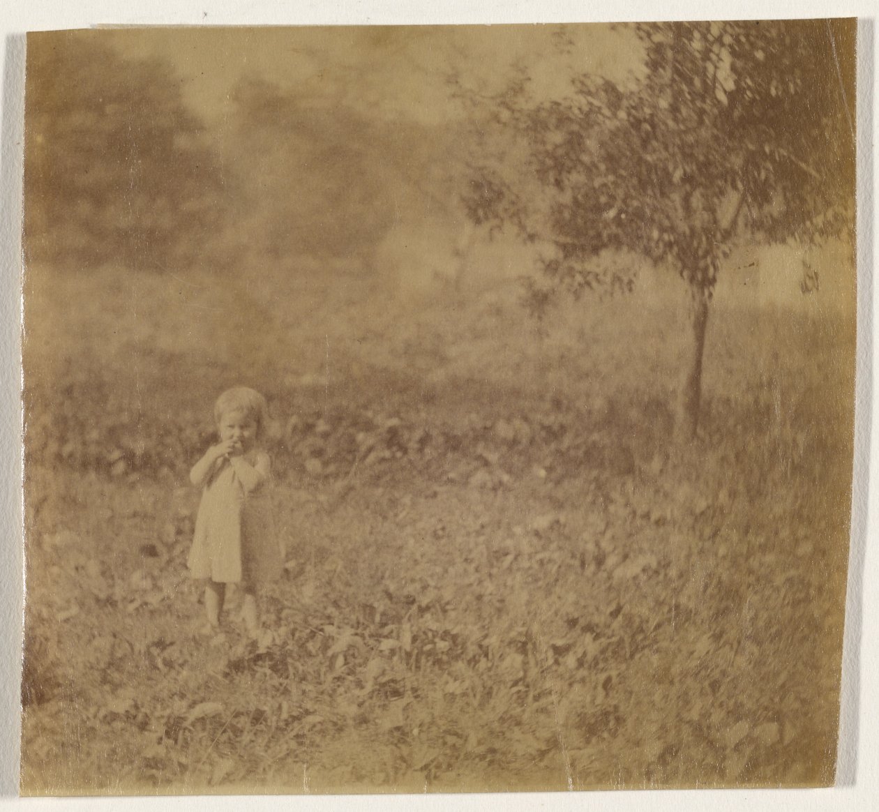 [Portrait d