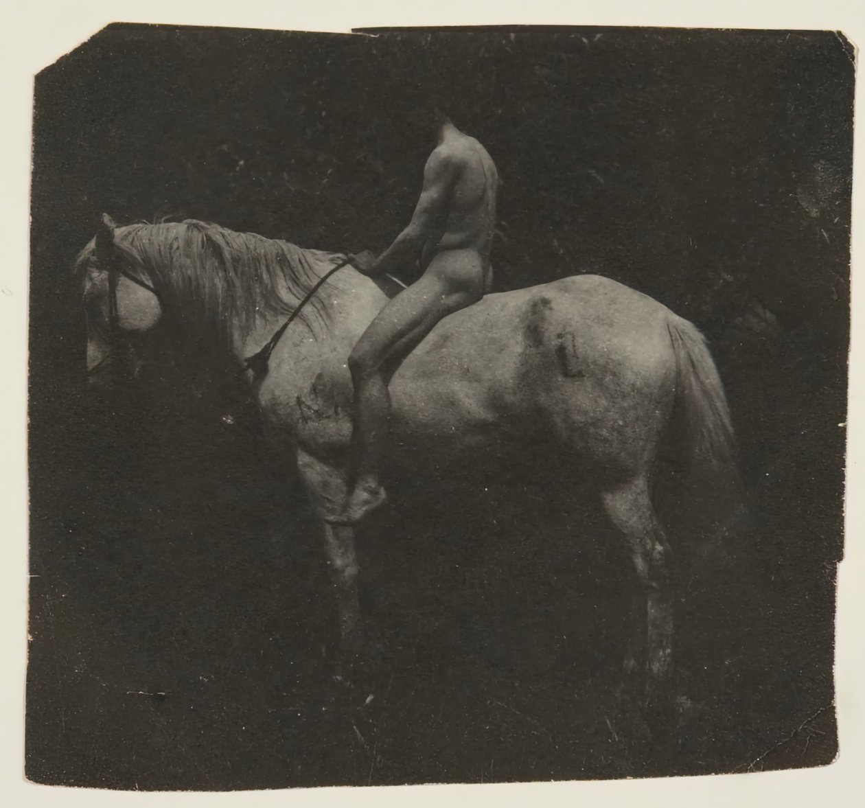 Samuel Murray à califourchon sur le cheval Billy d