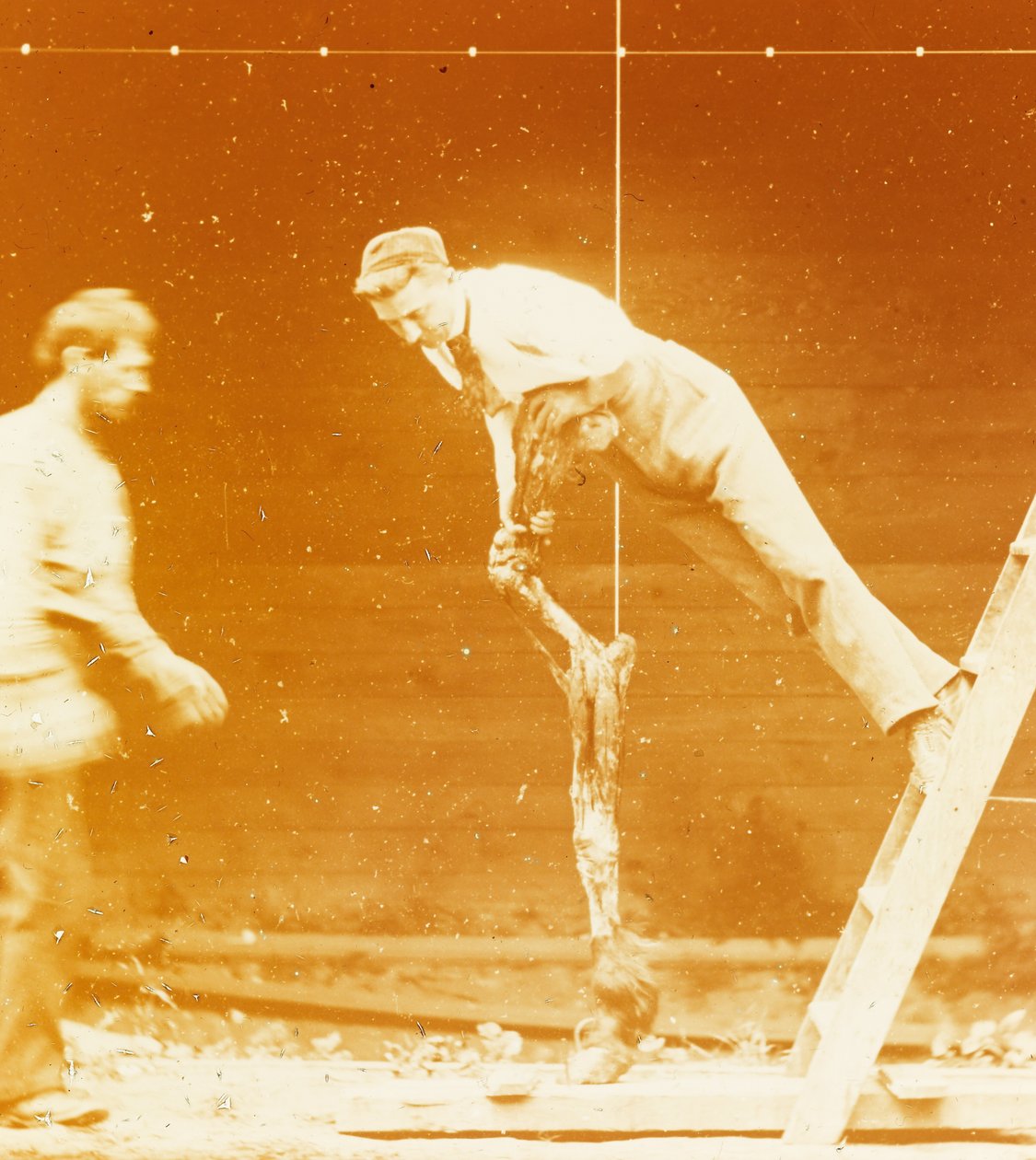 [Studie der Muskelaktion: Junger Mann lehnt an einem Pferdebein] - Thomas Eakins
