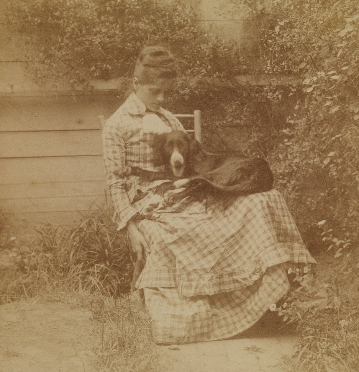 [Susan Macdowell (qui deviendra Mme Thomas Eakins) avec un setter] - Thomas Eakins