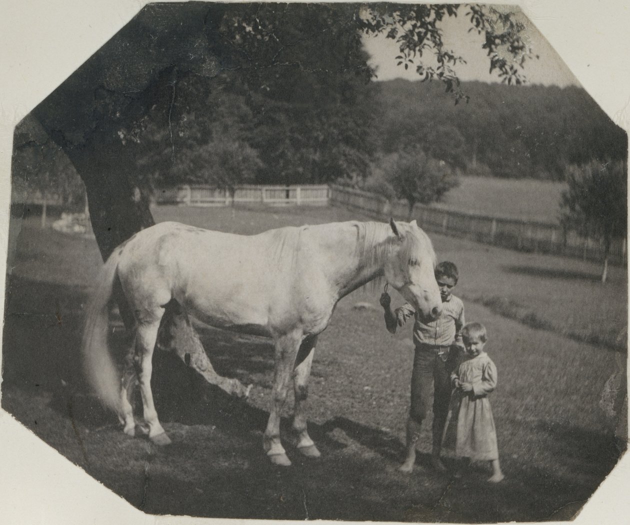 [Le cheval Billy de Thomas Eakins et deux enfants Crowell à Avondale, Pennsylvanie] - Thomas Eakins