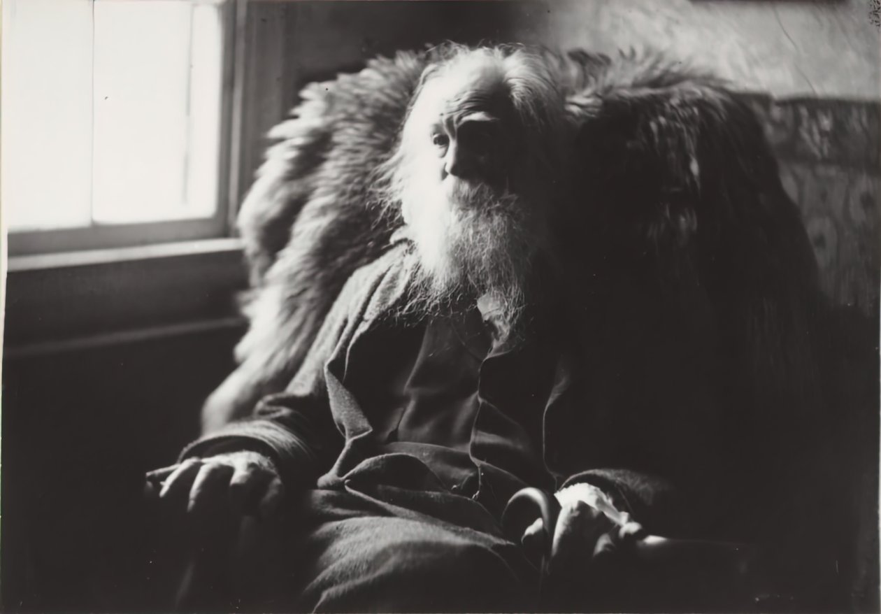 Walt Whitman à Camden, N.J., vers 1891 - Thomas Eakins