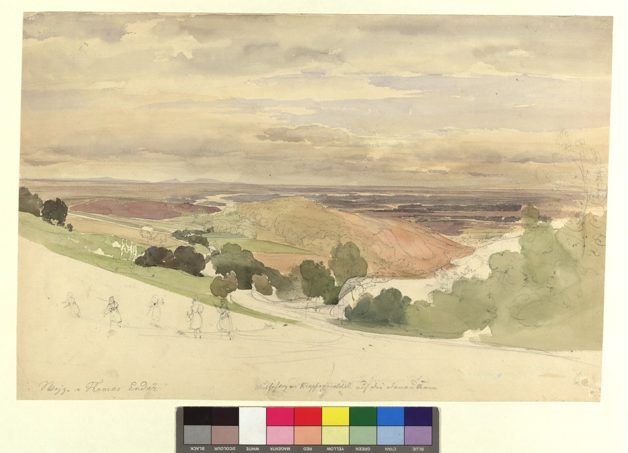Vue depuis le Krapfenwaldl sur les plaines alluviales du Danube - Thomas Ender