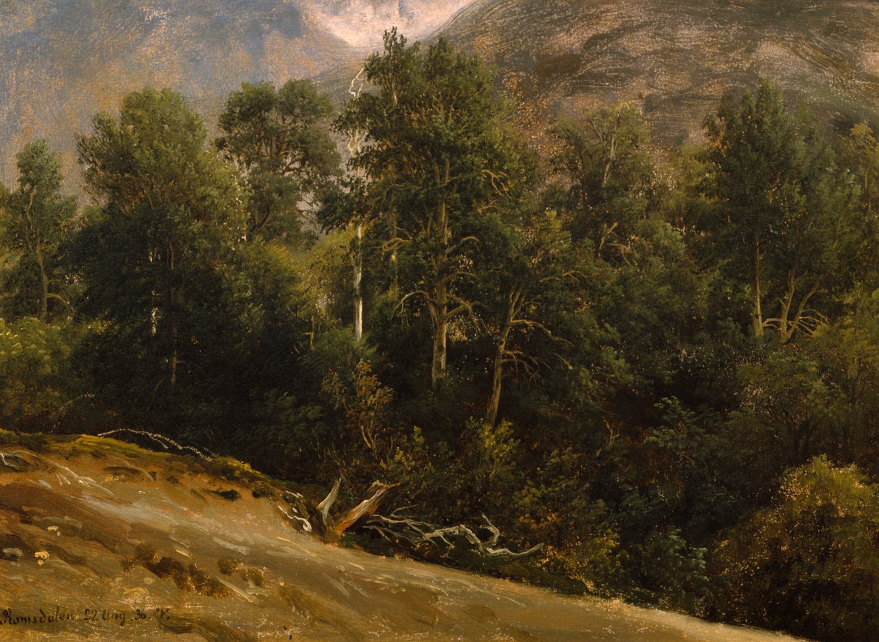 Forêt de Romsdal - Thomas Fearnley