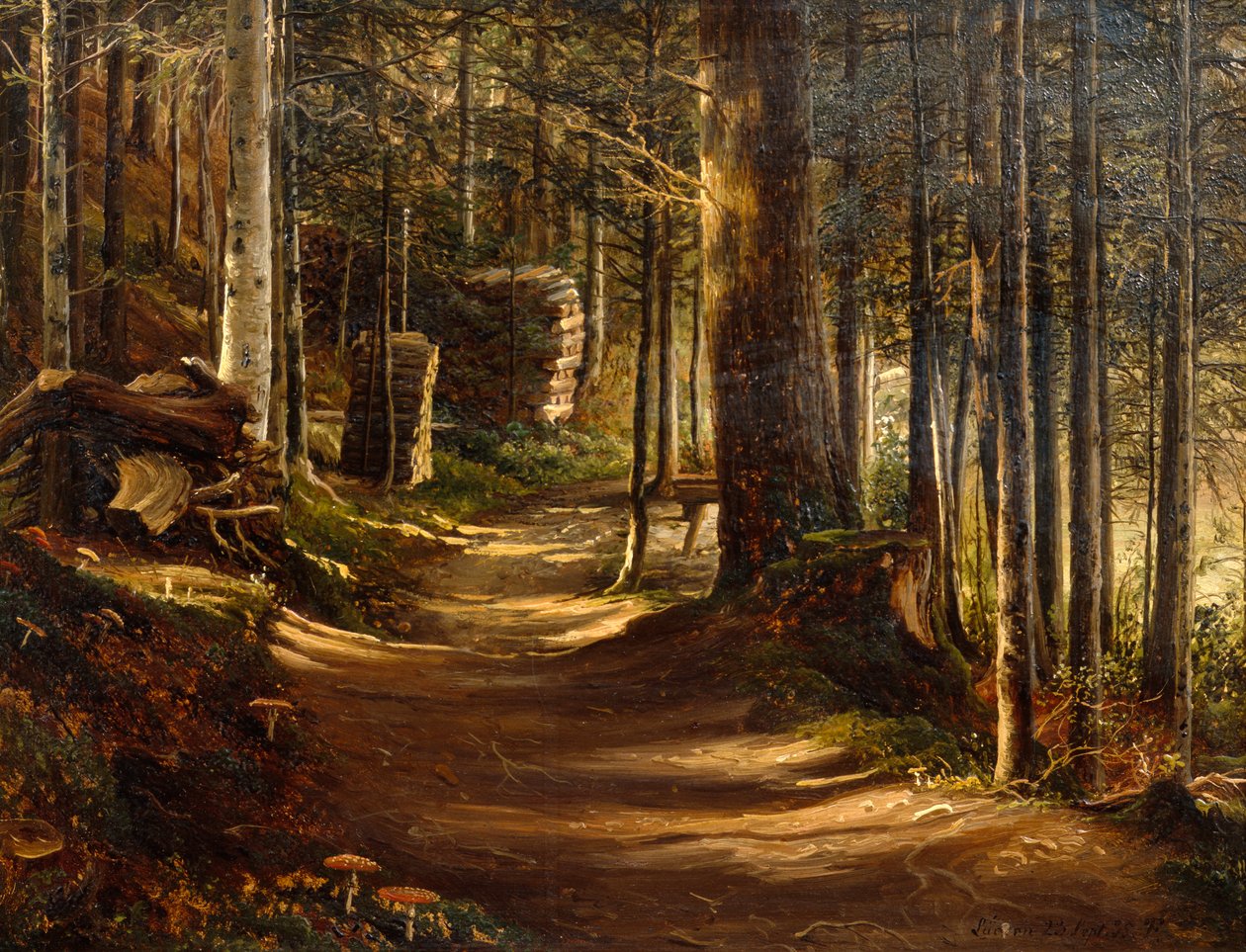 Route dans une forêt de conifères - Thomas Fearnley