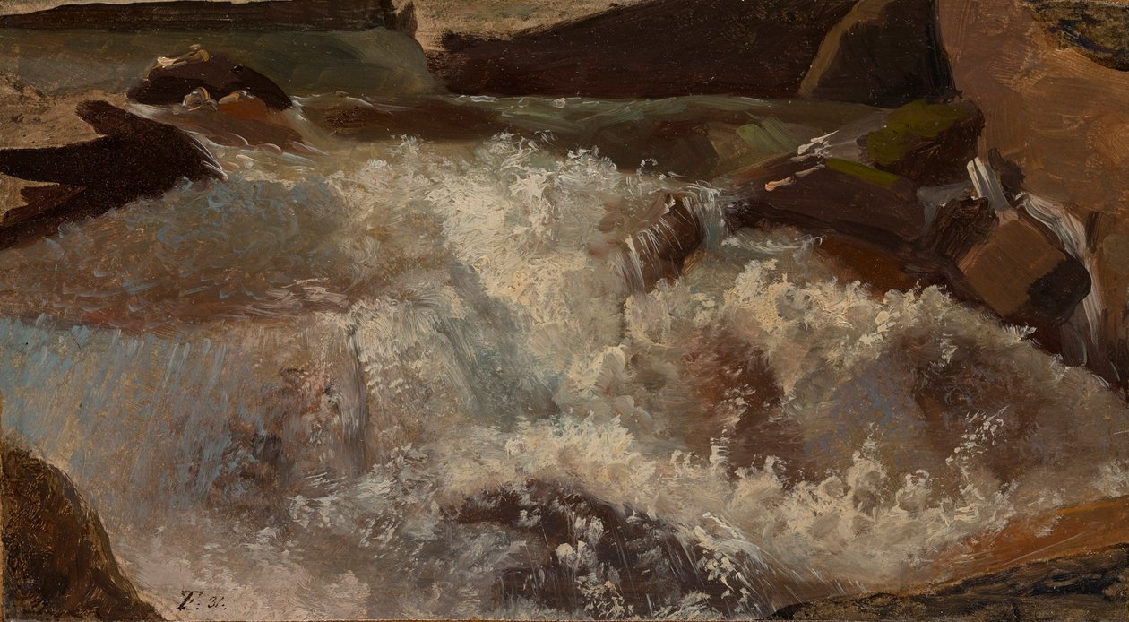 Eaux vives. Étude de la nature - Thomas Fearnley