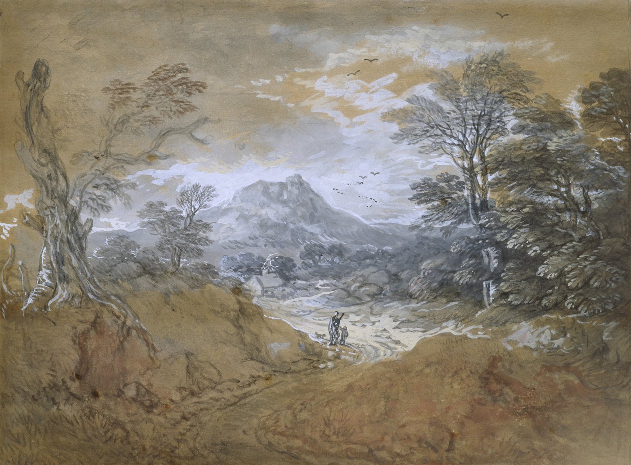 Paysage avec une route au bord d