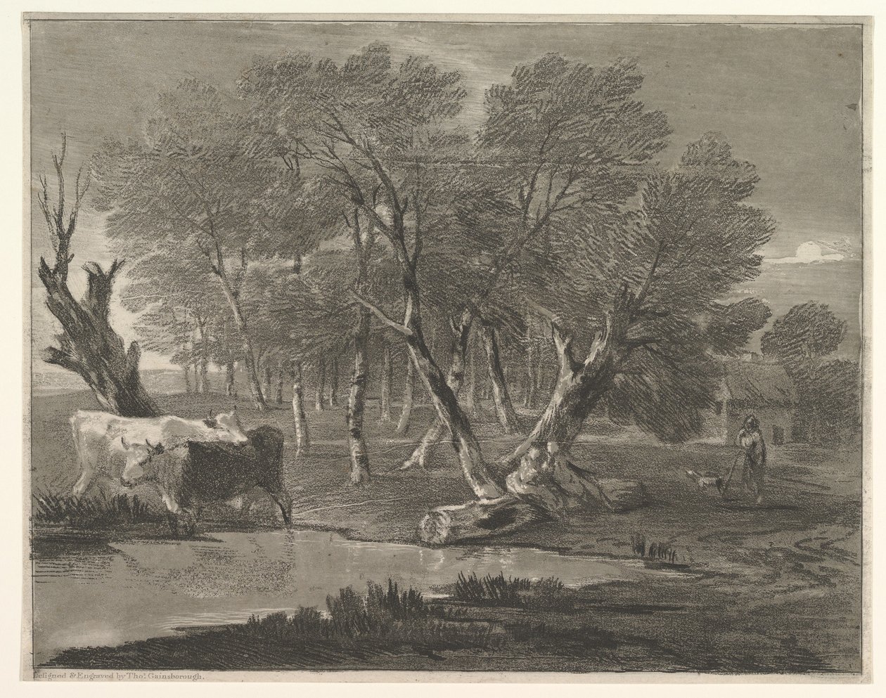 Paysage boisé avec vaches près d