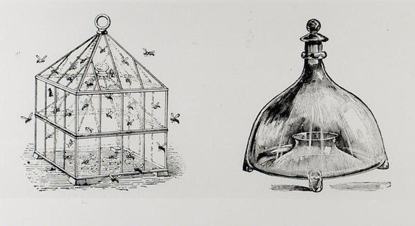 Pièges à guêpes et mouches, de 