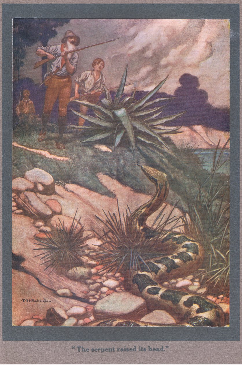 Le serpent a levé la tête (lithographie couleur) - Thomas Heath Robinson