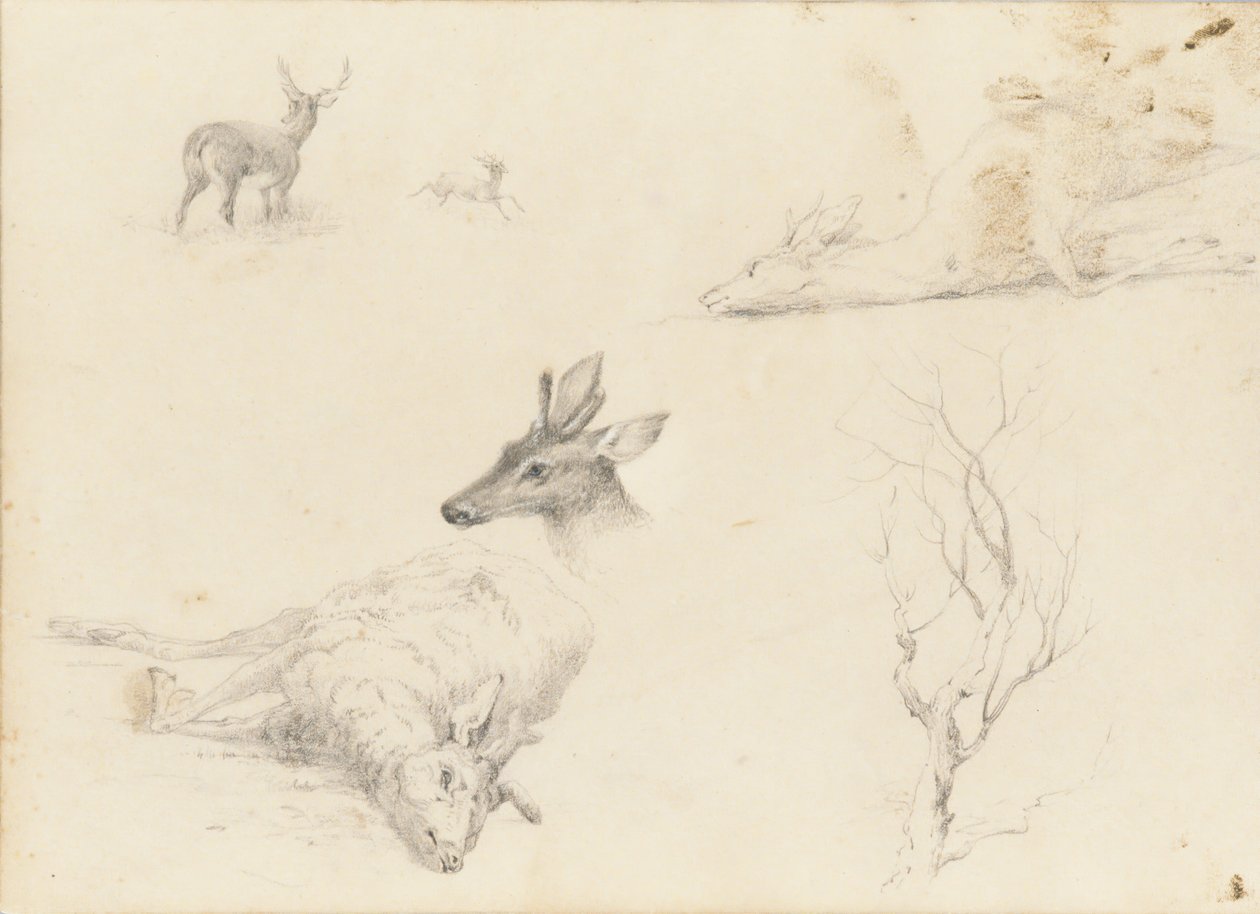 Carnet de croquis de paysages et sujets animaliers - Thomas Hewes Hinckley