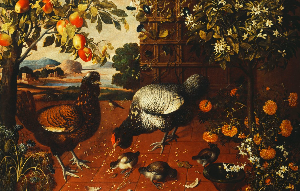Un coq, une poule et des poussins dans une cour - Thomas Hiepes