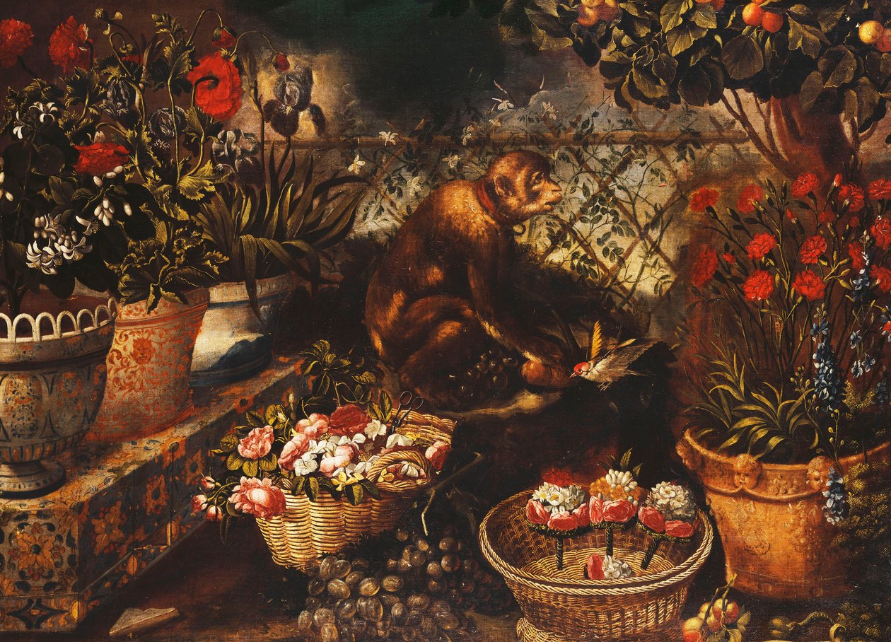 Un singe dans un jardin clôturé - Thomas Hiepes
