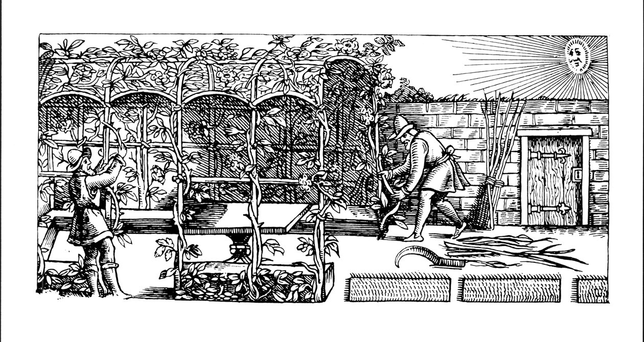 Arche en construction comme ombre contre le soleil, de 