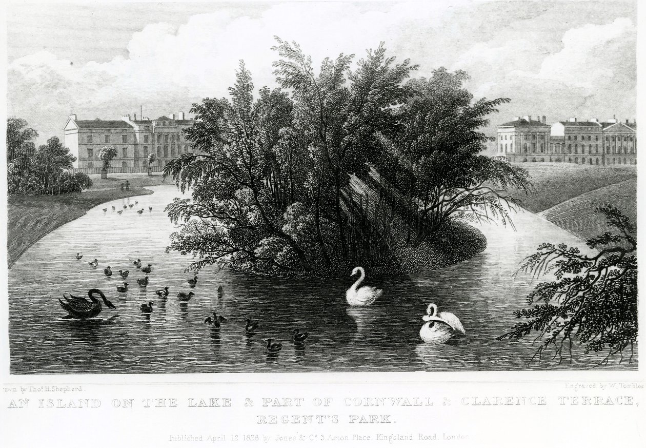 Une île sur le lac et une partie de Cornwall et Clarence Terrace, Regent