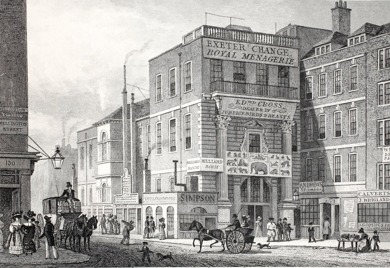 Exeter Change, Strand, de 