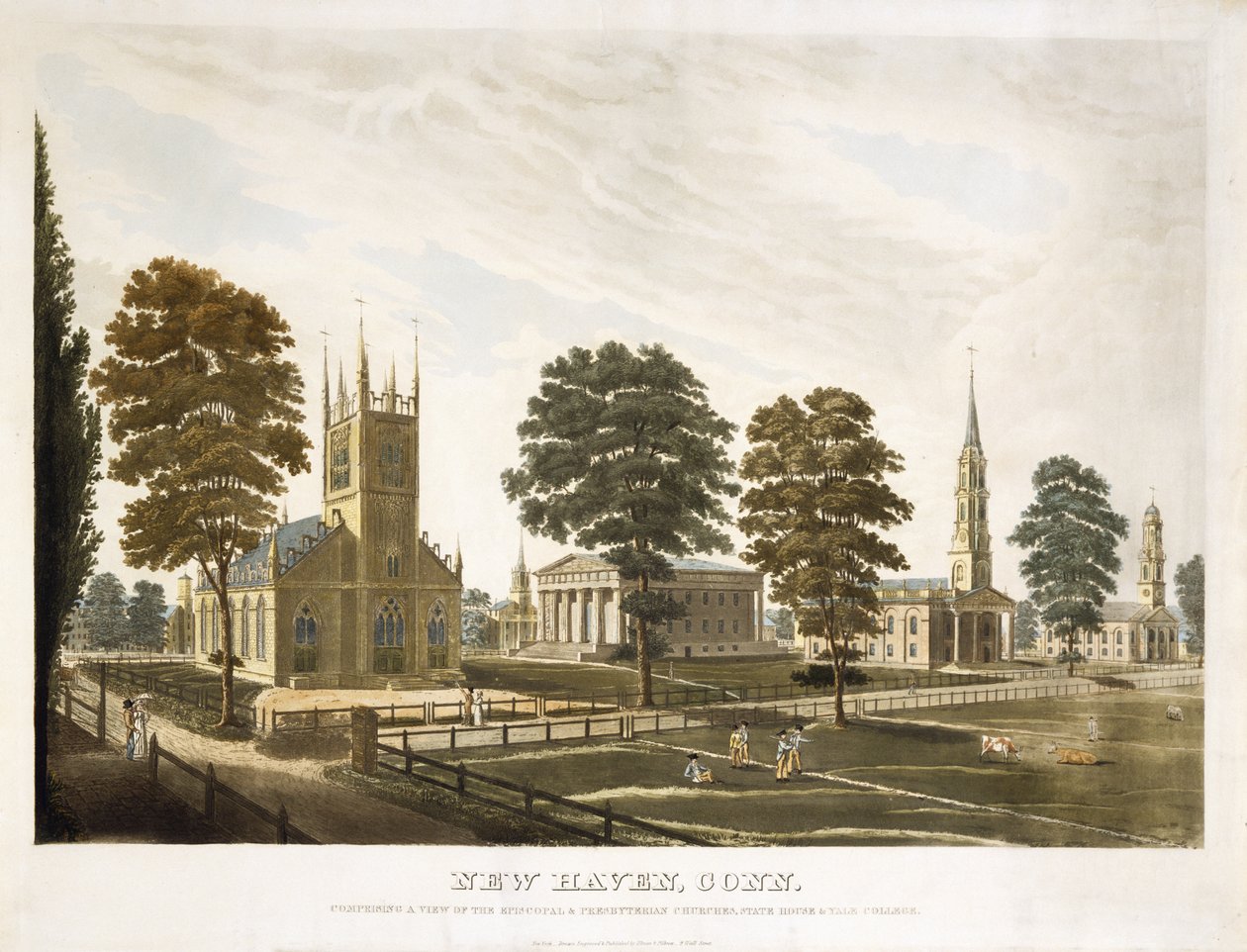 New Haven, Conn. Comprenant une Vue des Églises Épiscopale et Presbytérienne, de la Maison d