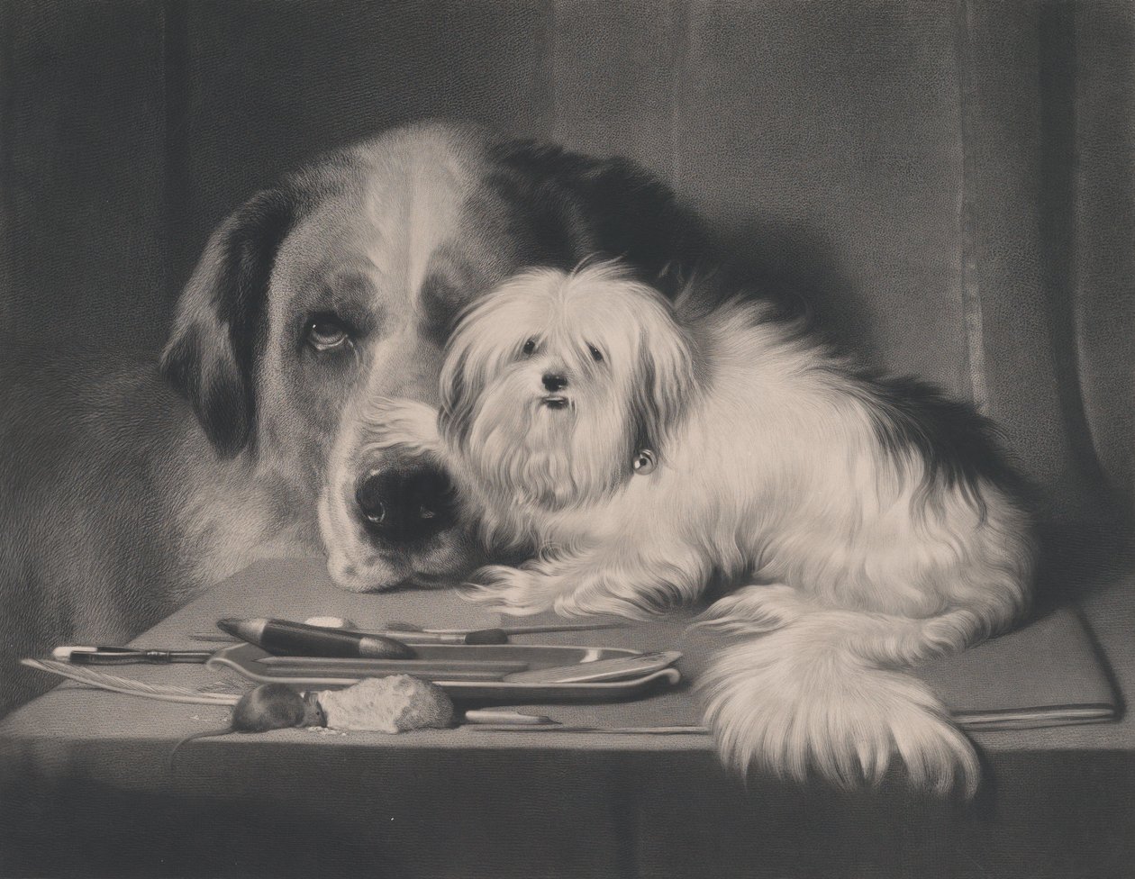 Le Chien-lion de Malte - Le dernier de sa tribu, 1844 - Thomas Landseer