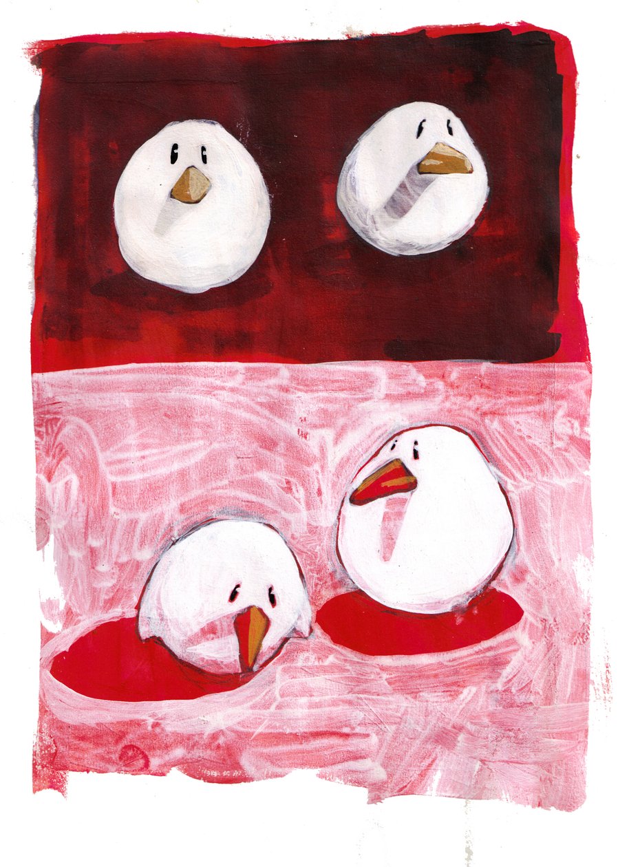 Oiseaux en Noir et Blanc sur Rouge - Thomas MacGregor