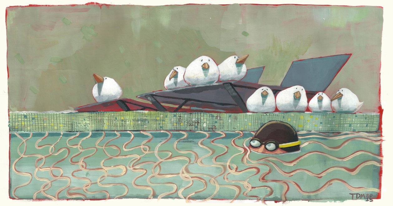 Oiseaux de la Piscine - Thomas MacGregor