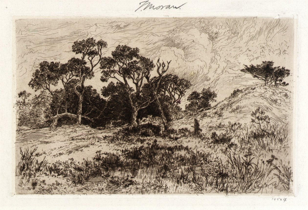 Un vent du sud - Thomas Moran