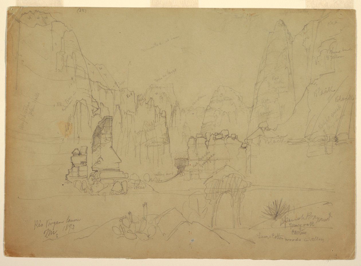 Dessin, Le Canyon du Rio Virgin, Sud de l