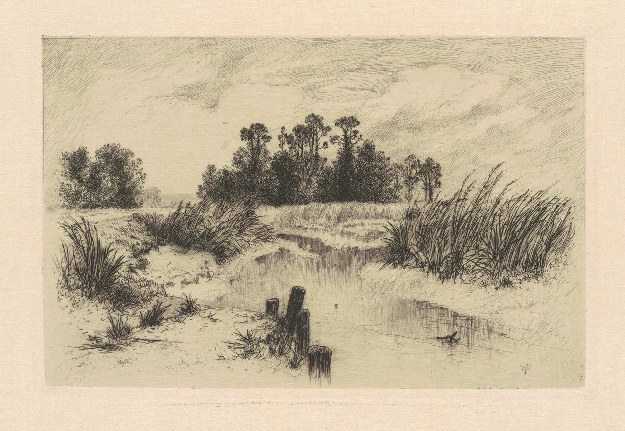 Dans les prés de Newark - Thomas Moran