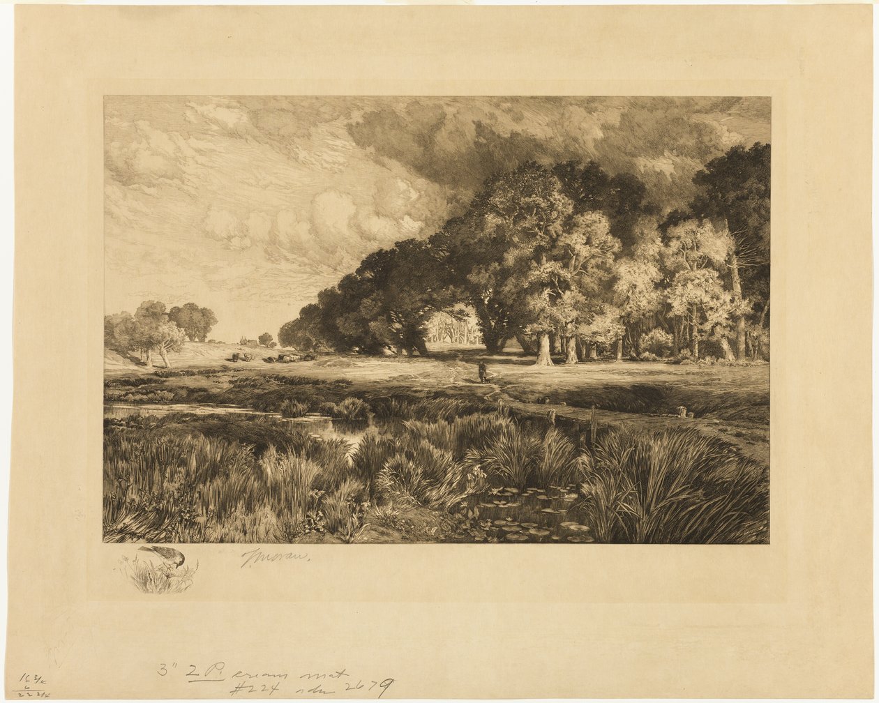 Paysage de Long Island - Thomas Moran